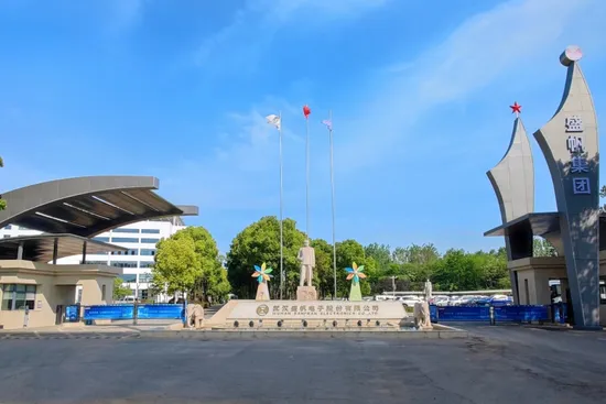 DDZY876 STS Prepayment Single Phase Two Wire Split Keypad Electronic Smart Energy Meter