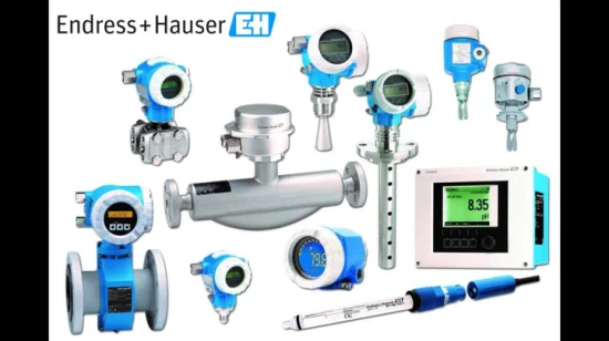 E+H 10p Promag W 400 유량계 Endress+Hauser Promass 80e/83e 질량 유량계