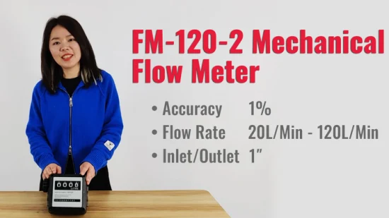 1 인치 터빈 기계식 디젤 미터 디지털 가솔린 소비 연료 유량계